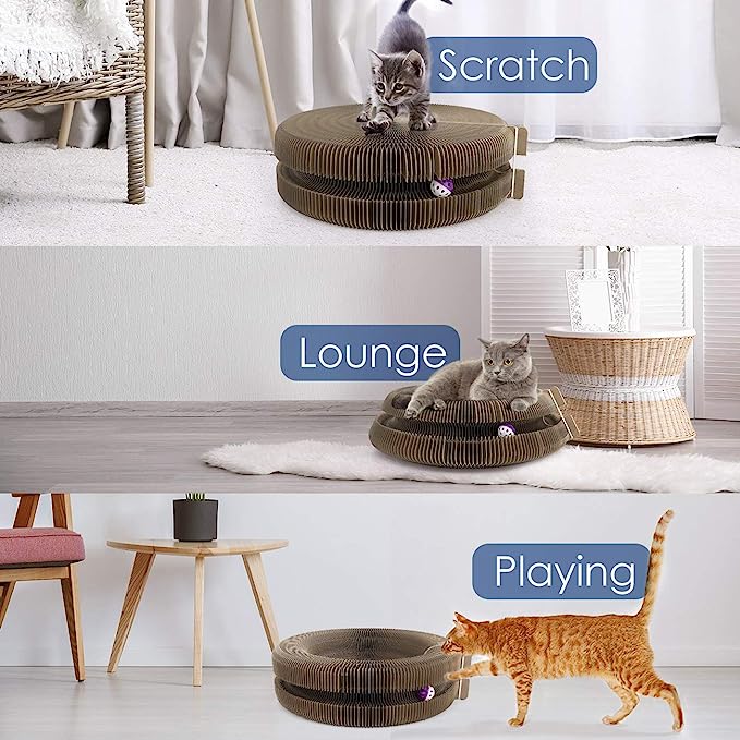 ScratchWave - Cat Scratch Board