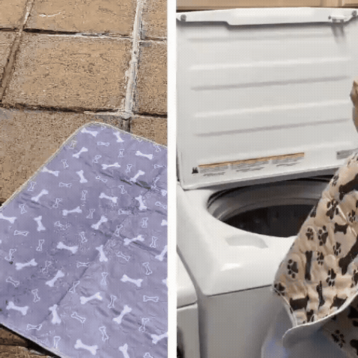 PawLoo - Pee Pad
