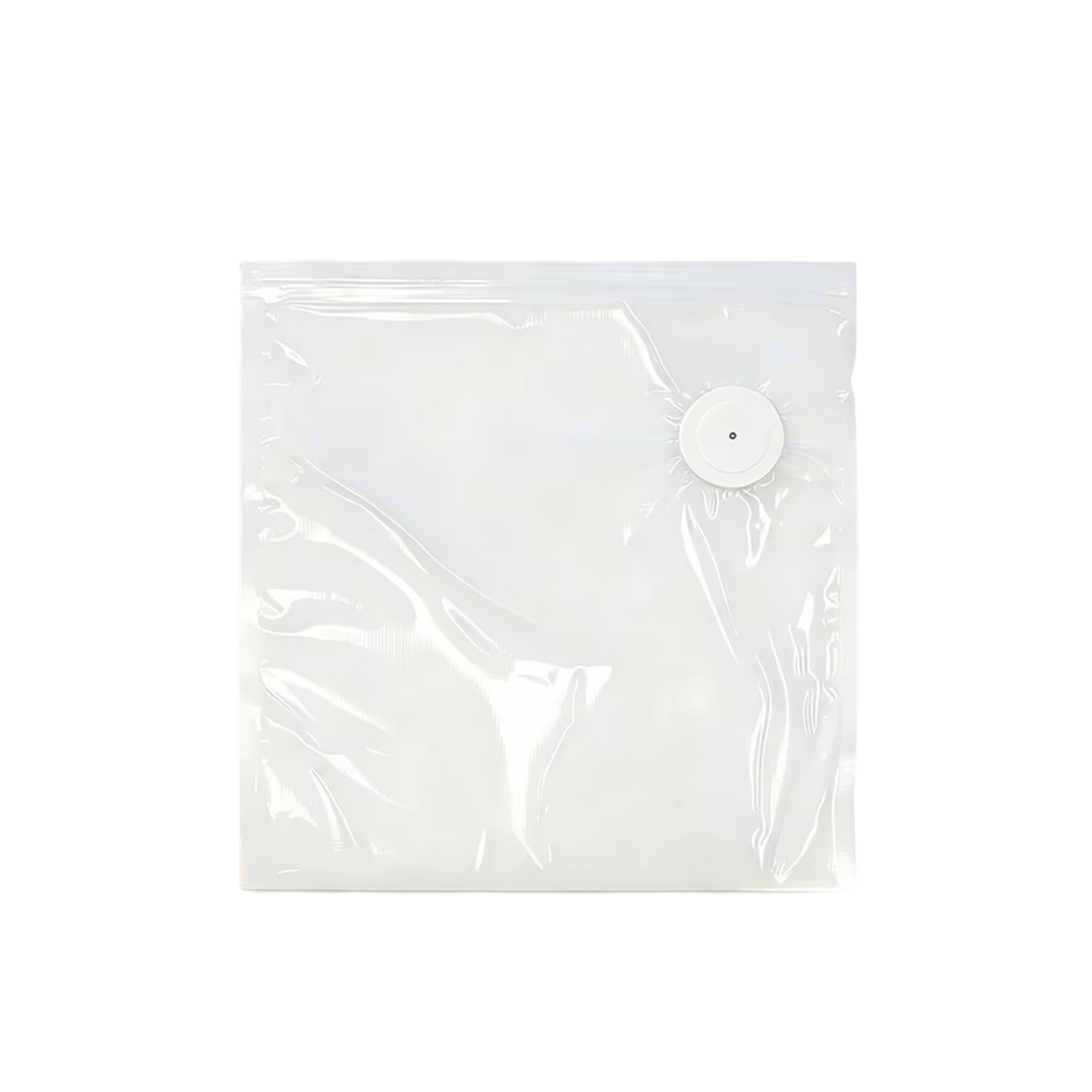 10 Reusable Vacuum Bags