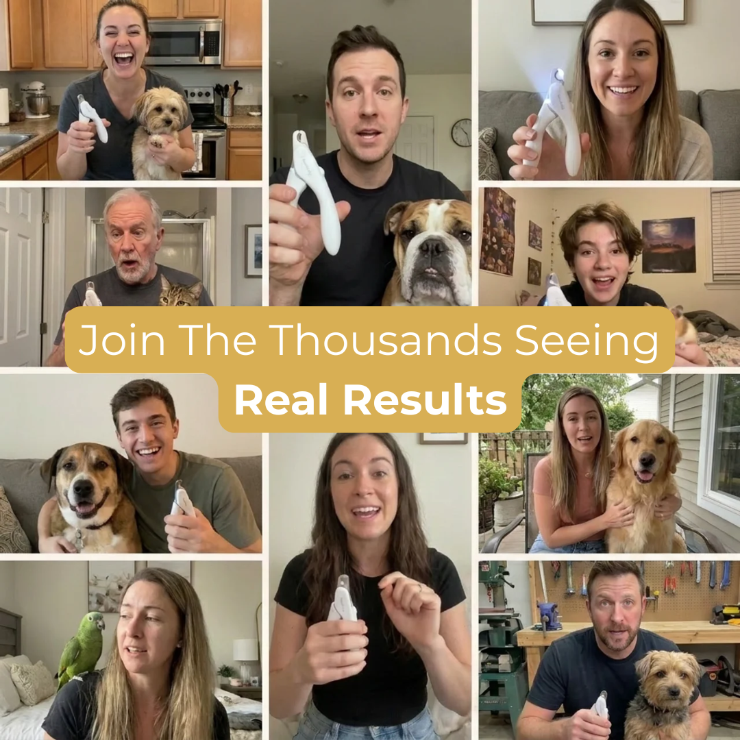 GentleClip™ – Pain-Free Pet Grooming Tool