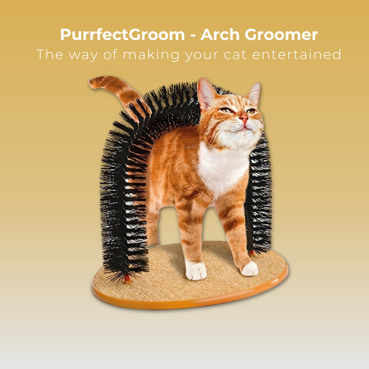 PurrfectGroom - Arch Groomer