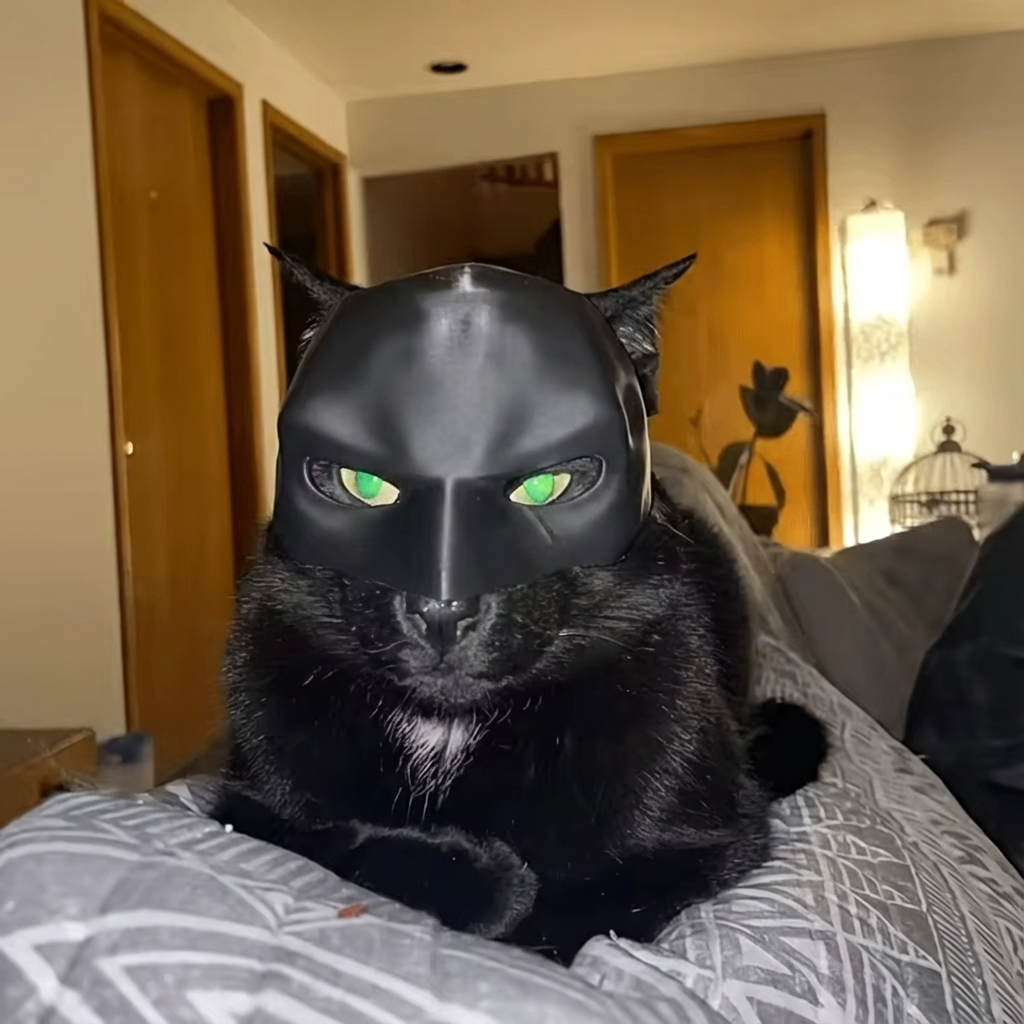 MeowMuse