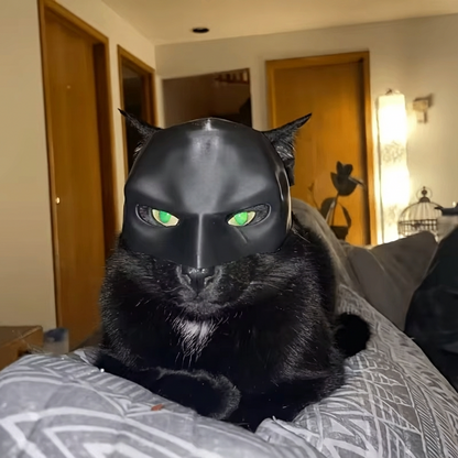 MeowMuse