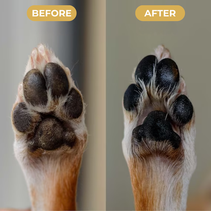 PawGroom