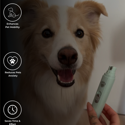 PawGroom