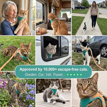 WhiskerWalk™ Adventure Harness