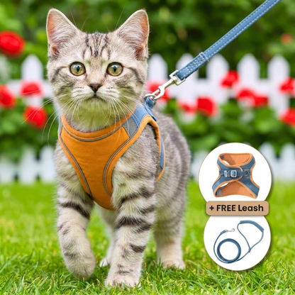 WhiskerWalk™ Adventure Harness